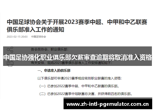 中国足协强化职业俱乐部欠薪审查逾期将取消准入资格 中国足协强化职业俱乐部欠薪审查逾期将取消准入资格